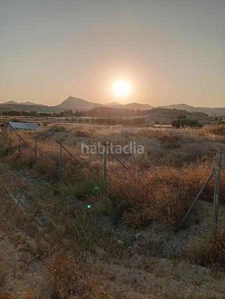 Foto e5dec2b9-9d4c-4bcc-b3b5-57d77e77c5b2. Rural plot in partida montnegre in Valle del Sol Mutxamel