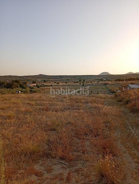 Foto e7be52c7-36a8-4bda-a565-8d07b9635990. Rural plot in partida montnegre in Valle del Sol Mutxamel