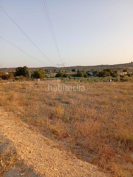 Foto ec720a95-1bd7-4f28-96c3-fc1252347a02. Rural plot in partida montnegre in Valle del Sol Mutxamel