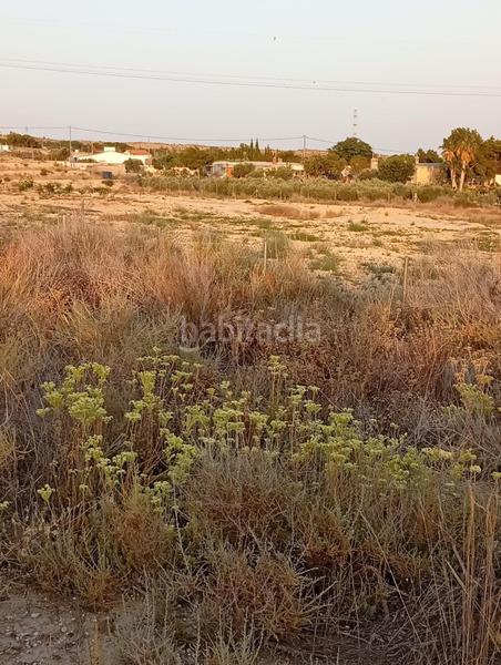 Foto f7fe3aa0-5fe7-4628-afe4-d3b9f3e5c072. Rural plot in partida montnegre in Valle del Sol Mutxamel