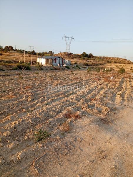Foto ff3f17bb-acd0-4a15-80b1-9d486309c3bc. Rural plot in partida montnegre in Valle del Sol Mutxamel