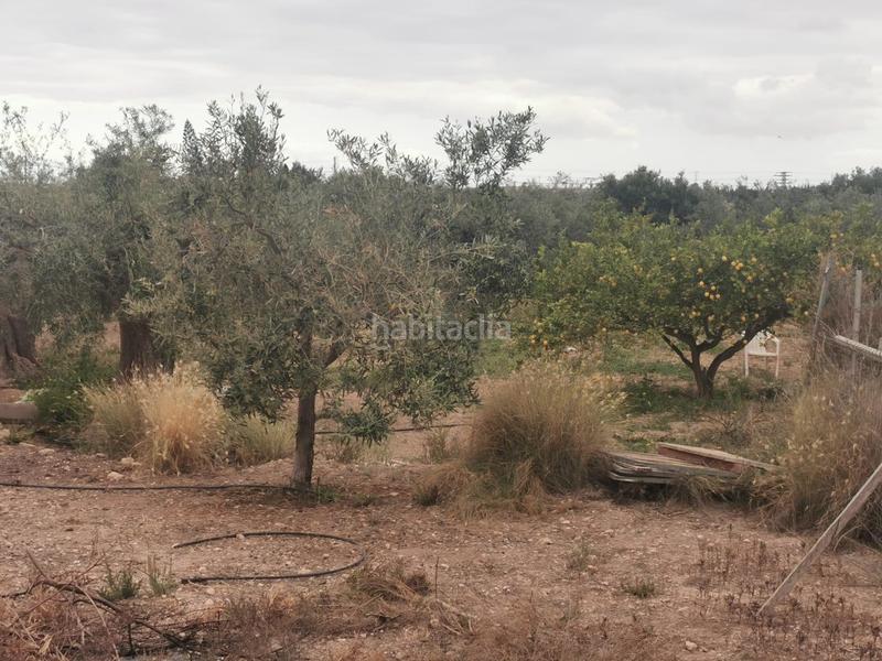 Foto 98a68d48-9087-4915-b763-4689b01a6b33. Maison avec parking piscine dans La Huerta Mutxamel