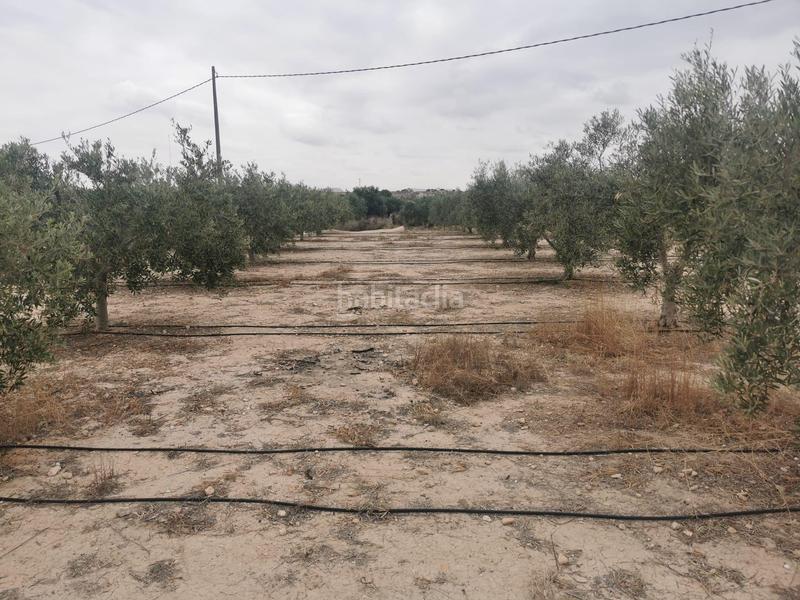 Foto cdcfc648-60a9-46f2-bc87-b5640e4920ac. Maison avec parking piscine dans La Huerta Mutxamel