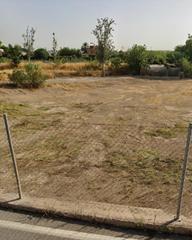 Residential Plot in Rincón de Seca. Parcela urbana en rincón de seca