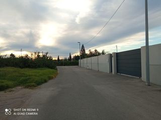 Finca rústica a Los Ramos