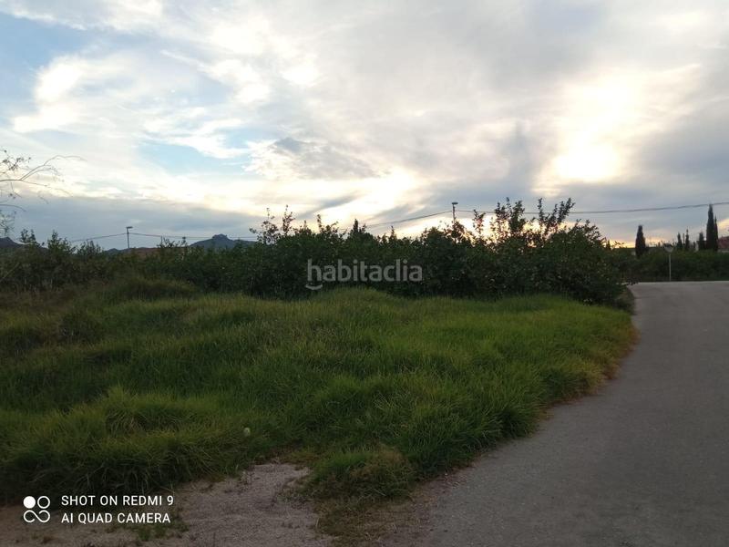 Foto ca8da9aa-7bb6-4ed9-be04-751cacb5a38f. Terreno residencial terreno urbano en la huerta de Los Ramos en Murcia
