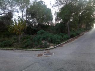 Terreny residencial a Cañadas de San Pedro. Parcela urbanizable en la pinada cañadas de san pedro