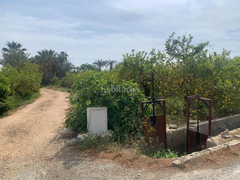 Foto 33d59721-ec6f-4379-a200-bbfd0d8f4169. Finca rústica terreno rústico en la huerta de Zeneta en Murcia