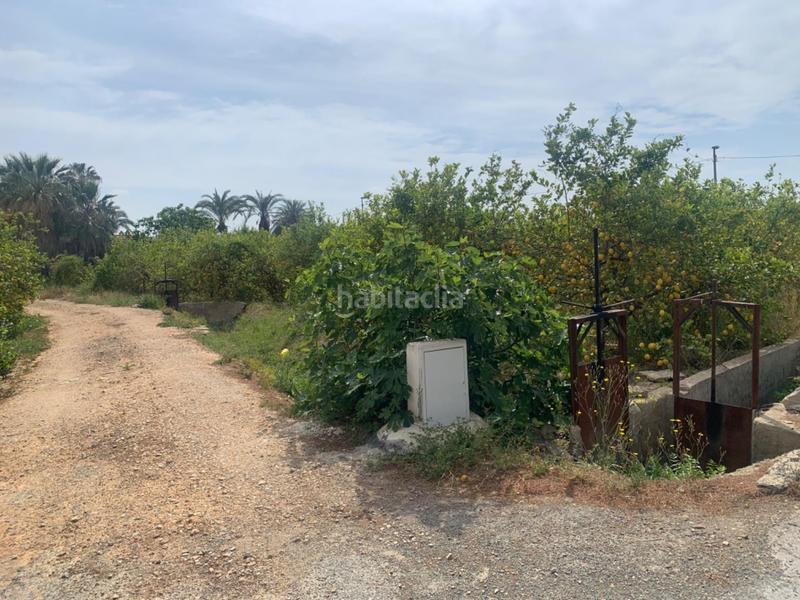 Foto 4e178c98-394c-473e-8326-fb19bd417b17. Finca rústica terreno rústico en la huerta de Zeneta en Murcia