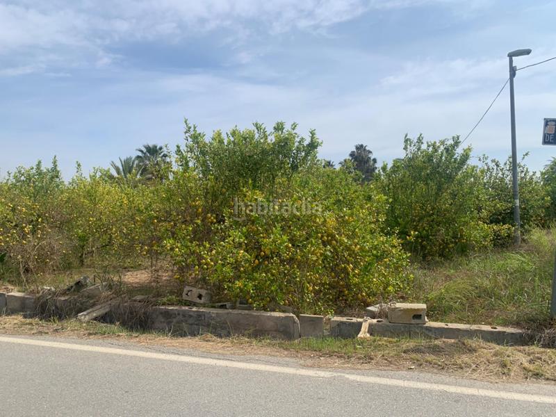 Foto 9c687728-a8af-474e-9c00-f66e7f2310ac. Finca rústica terreno rústico en la huerta de Zeneta en Murcia