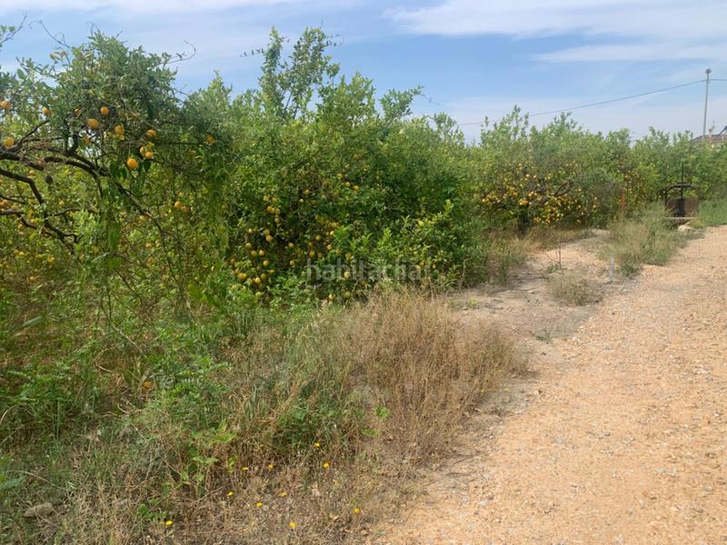 Foto d1125ec7-16f8-41e5-b747-81e4fc4ca607. Finca rústica terreno rústico en la huerta de Zeneta en Murcia