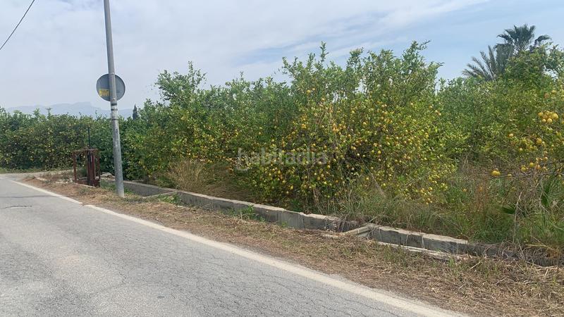 Foto da956167-f762-4ab4-a6be-6d71bb715051. Finca rústica terreno rústico en la huerta de Zeneta en Murcia