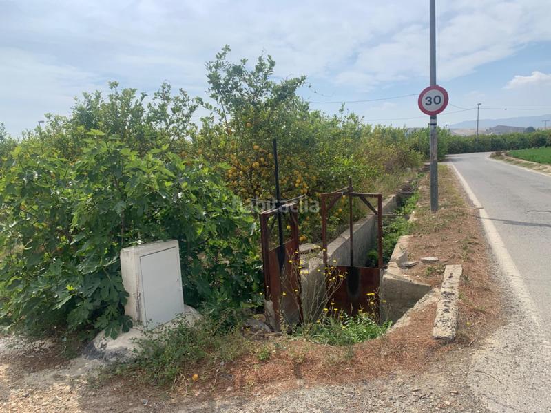 Foto f595511e-739b-4fb0-afb1-1b7805a4c868. Finca rústica terreno rústico en la huerta de Zeneta en Murcia