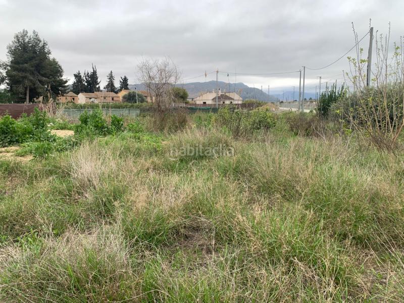 Foto 1f0ba0c0-1c0e-4a03-a937-e599b99e7f39. Finca rústica parcela rústica en Alquerías en Alquerías Murcia