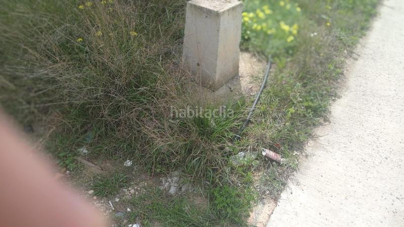 Foto 6a828367-ec58-42b7-b029-c9cb51a8673a. Finca rústica parcela rústica en Alquerías en Alquerías Murcia