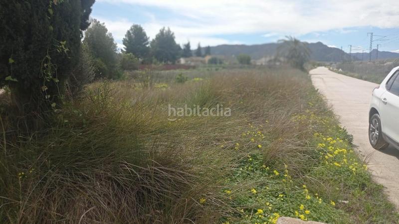 Foto 77d6484e-5f70-4593-afb9-3561885aa4bb. Finca rústica parcela rústica en Alquerías en Alquerías Murcia