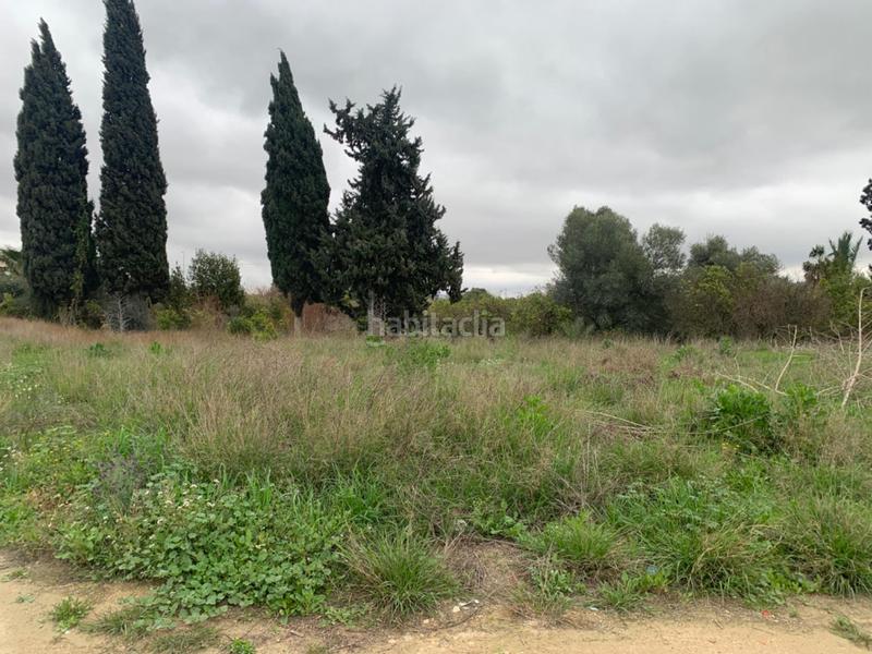 Foto aa89b074-0120-4d1a-81ec-2c943072679c. Finca rústica parcela rústica en Alquerías en Alquerías Murcia