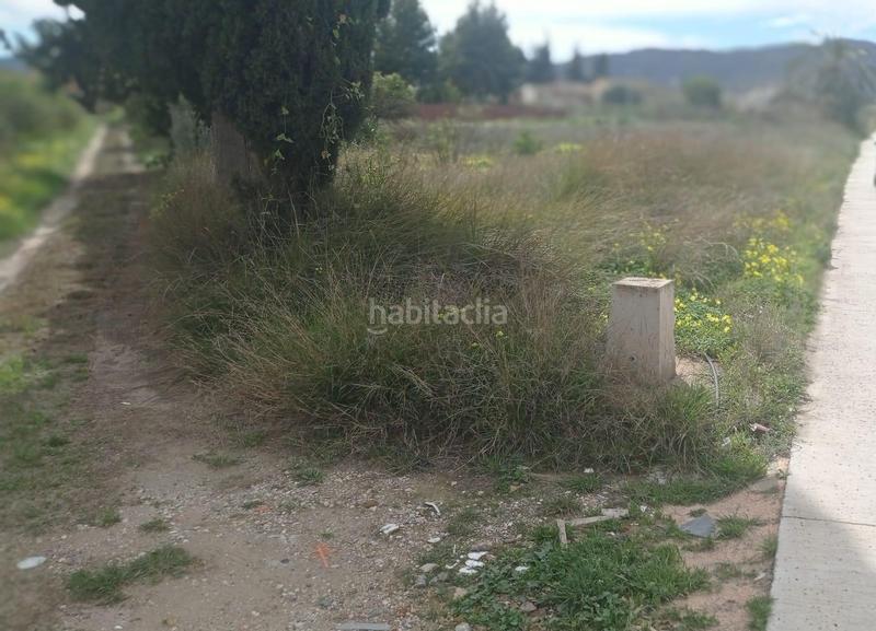 Foto b9657ceb-5b9f-4b26-9438-b7b4ed9678e5. Finca rústica parcela rústica en Alquerías en Alquerías Murcia