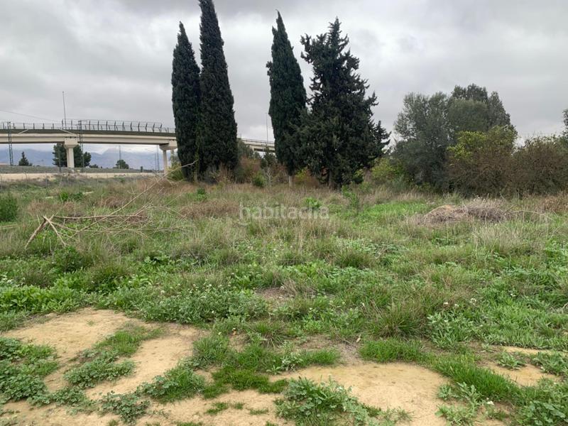 Foto bde35120-3dd3-4b77-b554-18a656e85d1a. Finca rústica parcela rústica en Alquerías en Alquerías Murcia