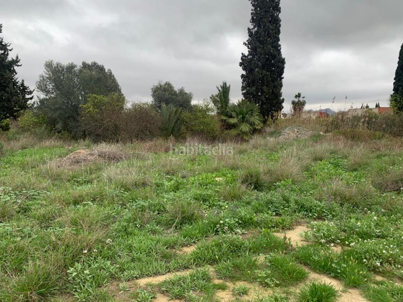 Foto d304ebb5-ec89-4153-86f4-8f271155d72e. Finca rústica parcela rústica en Alquerías en Alquerías Murcia