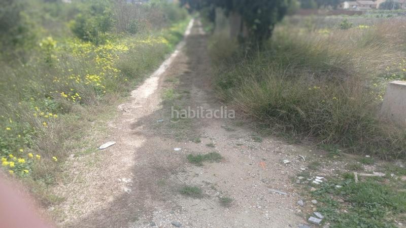 Foto db54902f-60bd-408d-a599-eb300508101f. Finca rústica parcela rústica en Alquerías en Alquerías Murcia