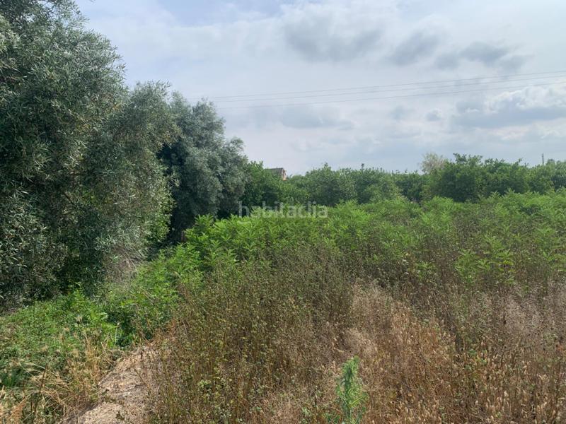 Foto 154043a2-3ad7-4ebd-82ec-c22e21cb9904. Terreno residenziale in Alquerías Murcia