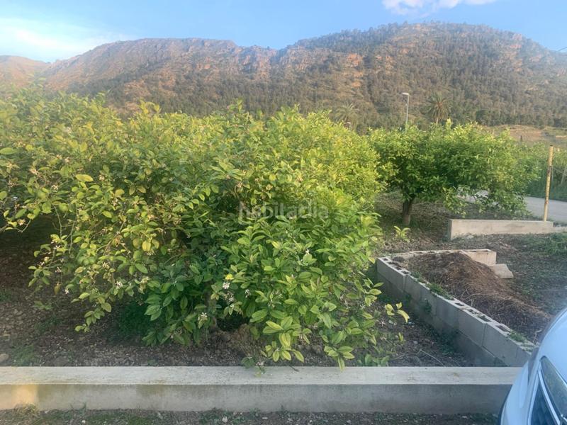 Foto 410f159f-2332-4585-b21a-38a66d3b8a9f. Rural plot in Los Ramos Murcia