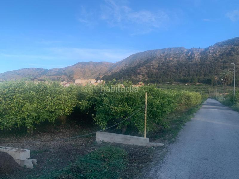 Foto 5f1c810e-a821-4a71-91c8-84f602d48b7d. Rural plot in Los Ramos Murcia