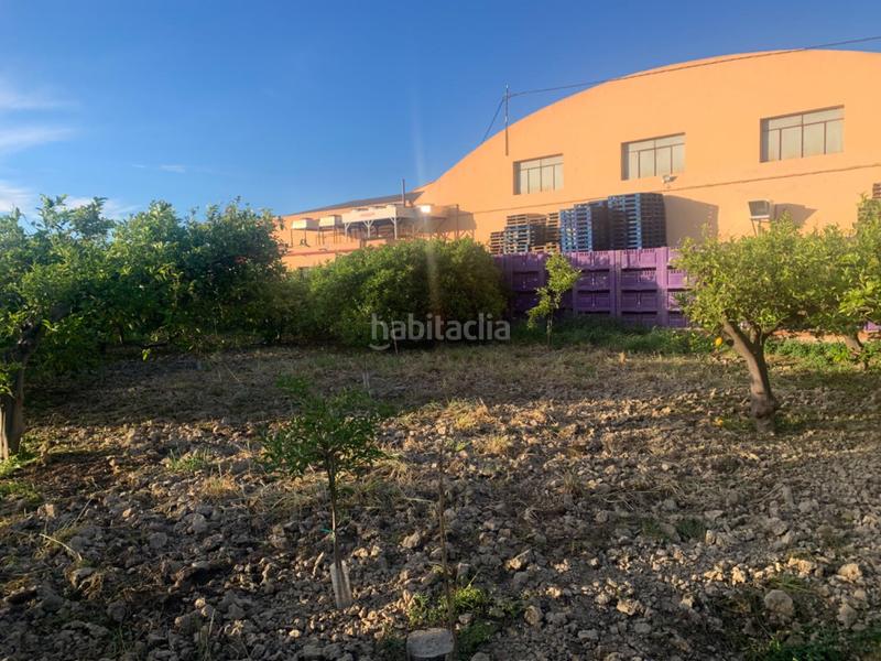 Foto 65c65725-039a-4b9b-b5bf-598fd89b7cd6. Rural plot in Los Ramos Murcia