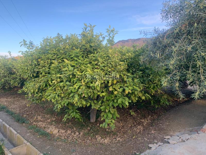 Foto 7667e2fa-8df4-4edd-9869-fe83beb99878. Rural plot in Los Ramos Murcia