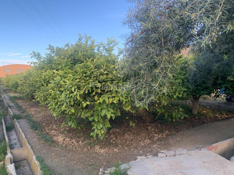 Foto 90fb317a-d0b4-46d5-a2a7-2bc4801f07c2. Rural plot in Los Ramos Murcia