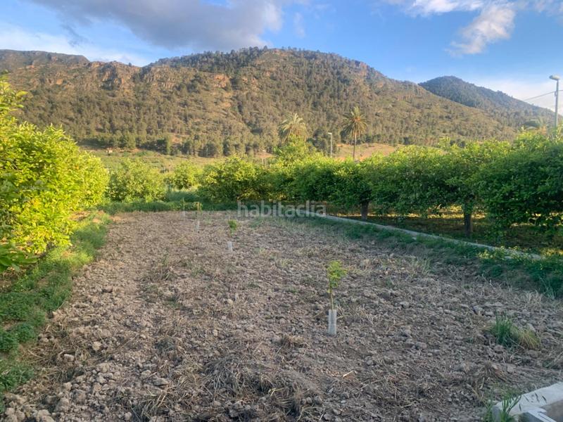 Foto 91e2c652-0f02-4ba0-b900-57b28461dd8c. Rural plot in Los Ramos Murcia