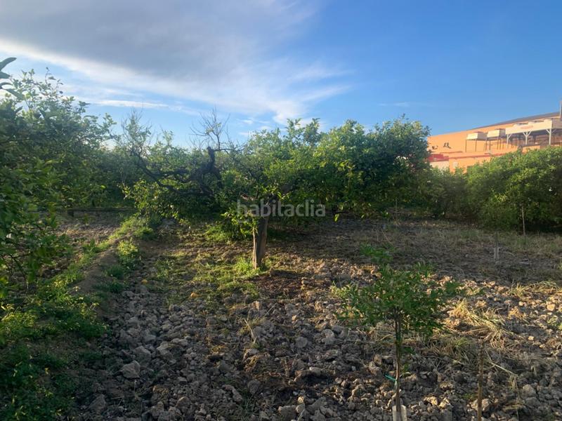 Foto b07af49d-8cb8-40ee-9ae6-8d8be31ccb16. Rural plot in Los Ramos Murcia