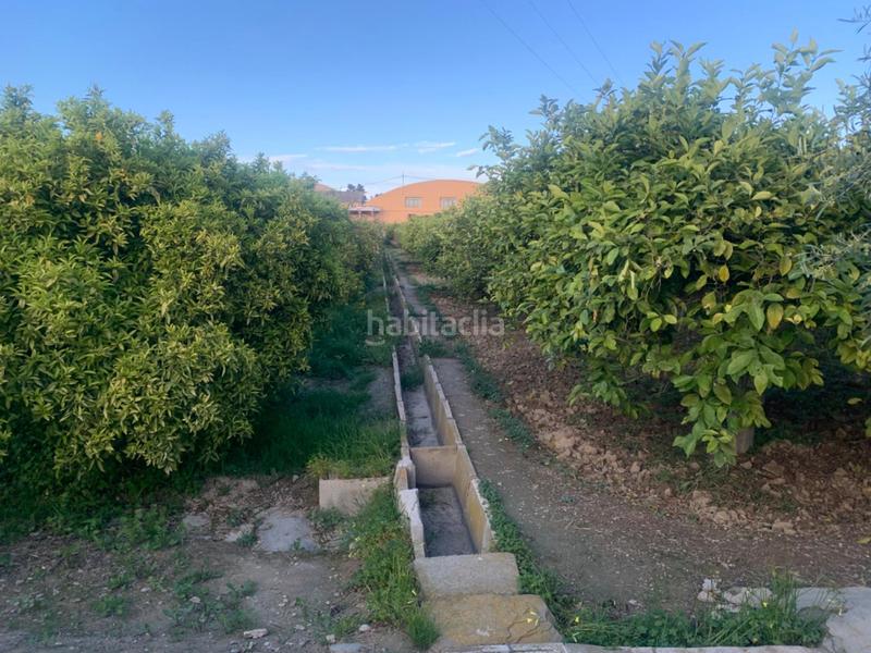 Foto b54384c8-f69c-4f24-be25-82ff6c9a2cba. Rural plot in Los Ramos Murcia