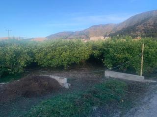 Finca rústica a Los Ramos. Parcela rútica con casa de aperos