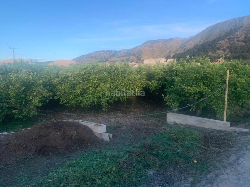 Foto de36c7be-a951-4b19-843d-602599afbf67. Rural plot in Los Ramos Murcia