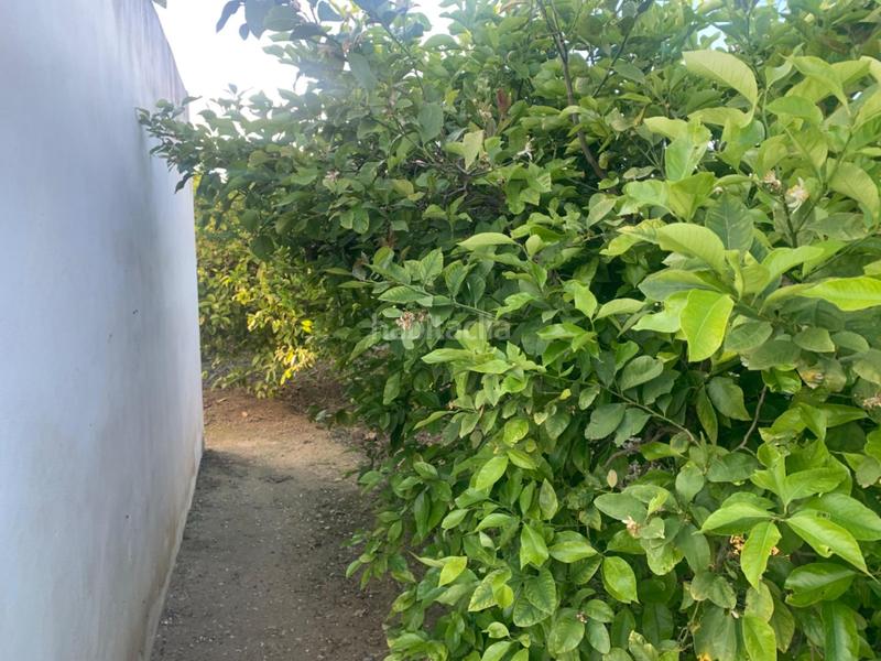 Foto e87be140-0047-431e-a2dc-6eedd2abd82f. Rural plot in Los Ramos Murcia