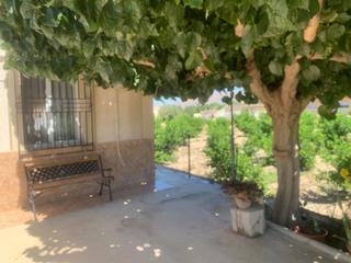 Mas à El Raal. Casa con parcela en santa cruz