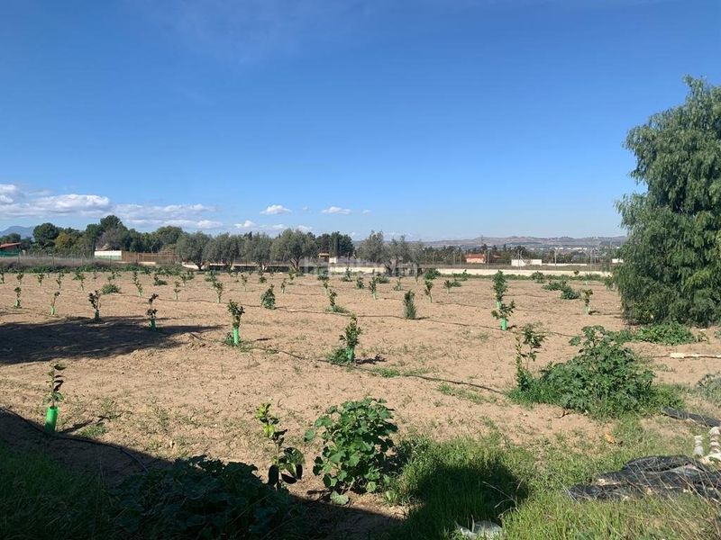 Foto 66e223ac-8cac-4ff4-8da4-be1c05cd83c4. Xalet amb aparcament a Sangonera la Seca Murcia