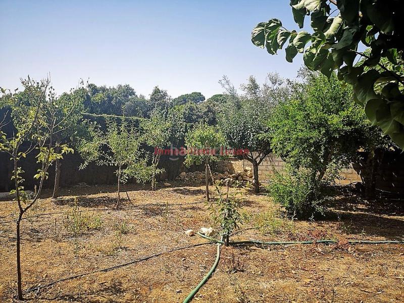 Foto 2389d813-cb6c-4d37-8777-4dee7e414548. Chalet avec chauffage piscine dans El Higuerón Córdoba