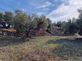 Bauernhof  N/a. Finca rúst. en venta en reus.