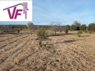Finca rústica a Cebolla. Ideal parcela de recreo