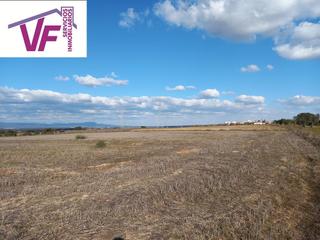 Rural plot  Calle hontalla