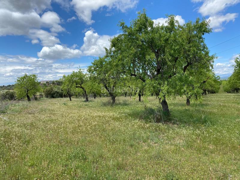 Foto 96a541eb-e962-4fc9-92e0-6f9d9d05ea3a. Fondo rustico in Barbastro