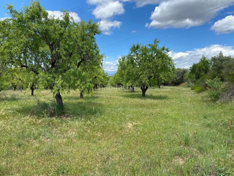 Foto cb16cf1f-abb3-4be4-bb4d-f995321bd023. Fondo rustico in Barbastro