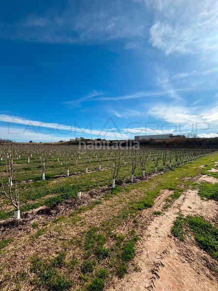Foto 89f6e17a-e65d-4968-86f7-e3add5defd16. Finca rústica a Albatàrrec