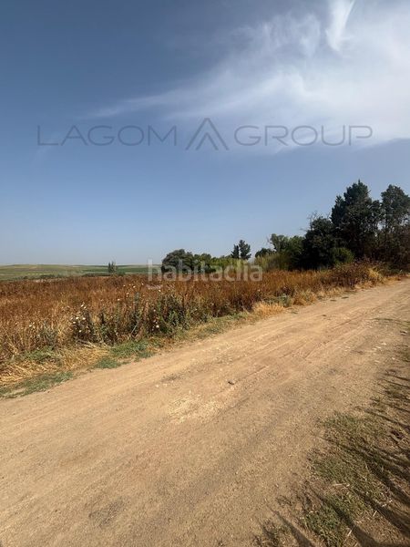 Foto 552fdfca-f409-4f9f-b0f9-4a39182df61c. Finca rústica a Almacelles