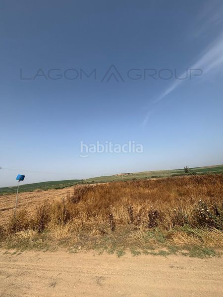Foto b6cd4a30-8ec5-4da9-b55b-89cb05581e7b. Finca rústica a Almacelles