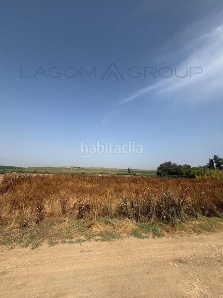 Foto cbd0e997-c55c-4fb0-813e-1ff8ee773bec. Finca rústica a Almacelles