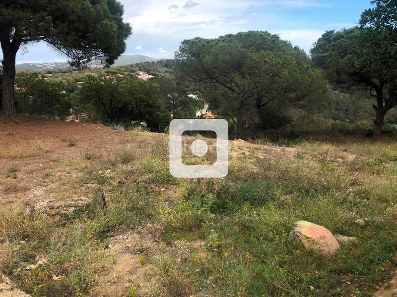 Foto 15ea95ad-ed81-4b51-b366-16656950b086. Terrain résidentiel dans Urbanitzacions Argentona